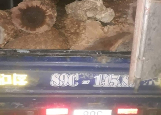 Số gỗ được UBND xã Cư Đrăm thu giữ nhưng sau đó được một số cán bộ xã tẩu tán, mang đi biếu xen người khác trái quy định