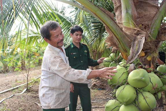 Ông Hồ Văn Điều giới thiệu vườn dừa của gia đình.