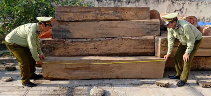 Hơn 9 m3 gỗ không có hồ sơ lâm sản hợp pháp bị lực lượng chức năng tỉnh Tiền Giang phát hiện và tịch thu. (Ảnh: Cục QLTT Tiền Giang)