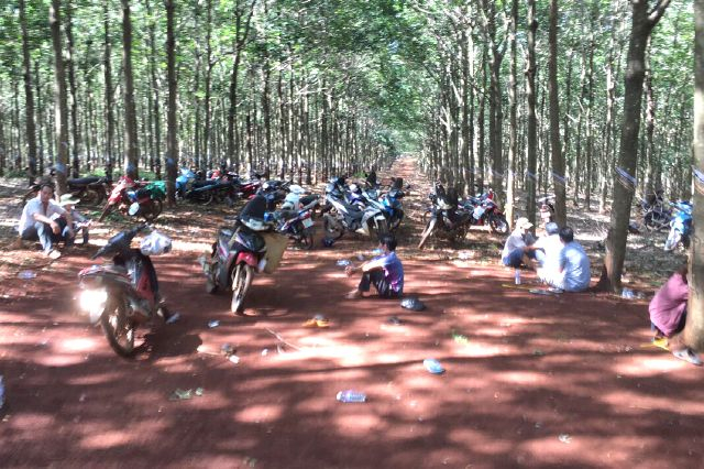 Các đối tượng bị bắt giữ.