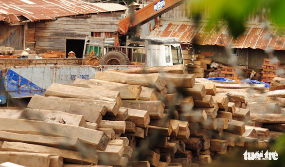 Gỗ tang vật tại Công ty Hiền Thái - Ảnh: TR.TÂN