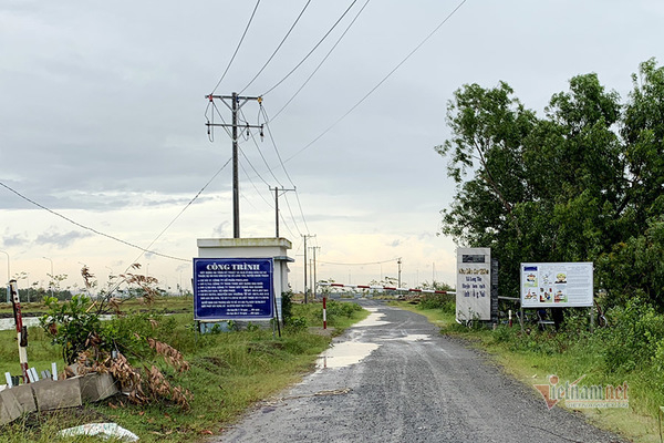 Dự án King Bay do Công ty CP Free Land làm chủ đầu tư.