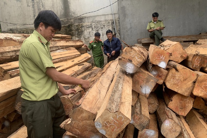 Qua điều tra, số gỗ lậu được vận chuyển, mua bán từ khu vực biên giới huyện Chư Prông (Gia Lai).