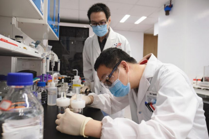 Giáo sư Alex Yan (đứng) cùng một đồng nghiệp đang nghiên cứu quá trình sản xuất phân urê trong phòng thí nghiệm tại Đại học Công nghệ Nanyang Singapore. Ảnh: NTU
