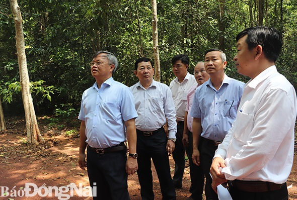 Chủ tịch UBND tỉnh Cao Tiến Dũng đi kiểm tra rừng ở H.Vĩnh Cửu vào giữa tháng 4-2021