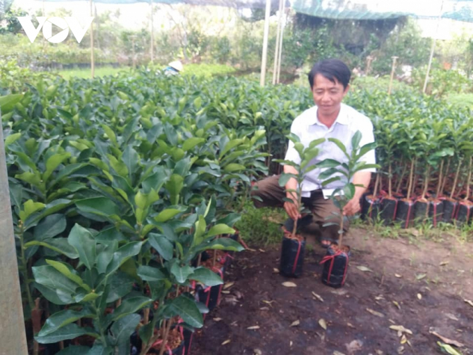 Ông Huỳnh Trần Quốc Phi, chủ trại giống ở huyện Chợ Lách, tỉnh Bến Tre.