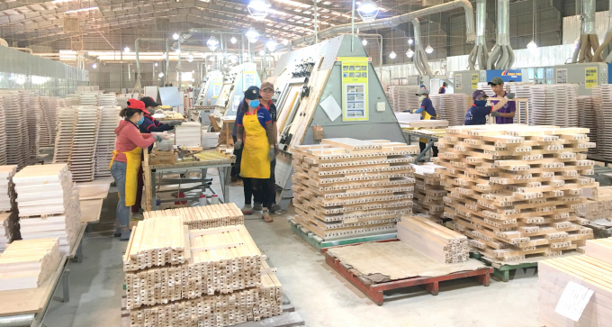 Tại Bình Định, chỉ những doanh nghiệp hoạt động trong ngành gỗ tại TP Quy Nhơn còn duy trì được 60-70% lực lượng lao động. Ảnh: Vũ Đình Thung.