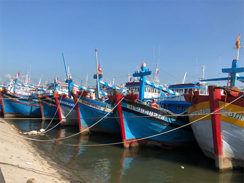Neo đậu tàu thuyền tại Phan Thiết (ảnh minh họa).