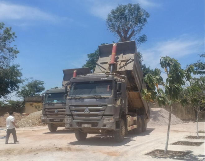 Các xe ben được sử dụng để khai thác cát trái phép. ẢNH: NGUYỄN LONG