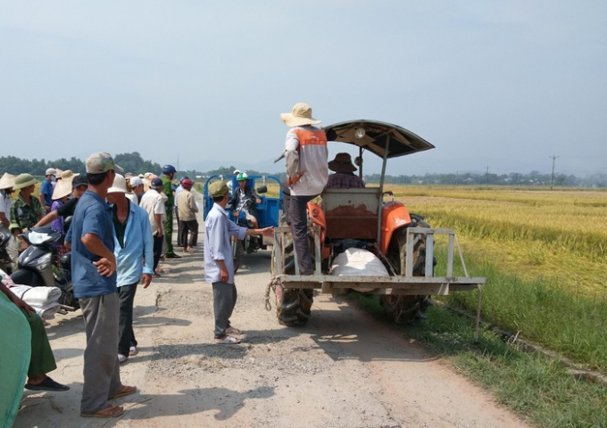 Nông dân Hương Long đổ ra đồng chầu chực chờ thuê máy gặt lúa