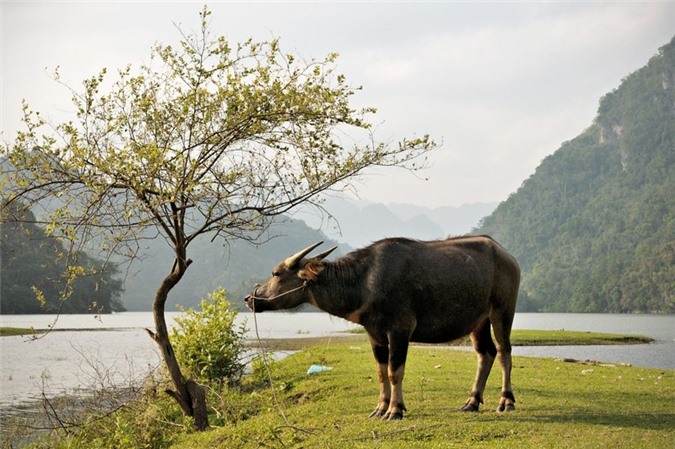 Ảnh: culturetrip