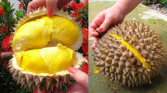 Thịt sầu riêng có màu vàng tươi tắn.
