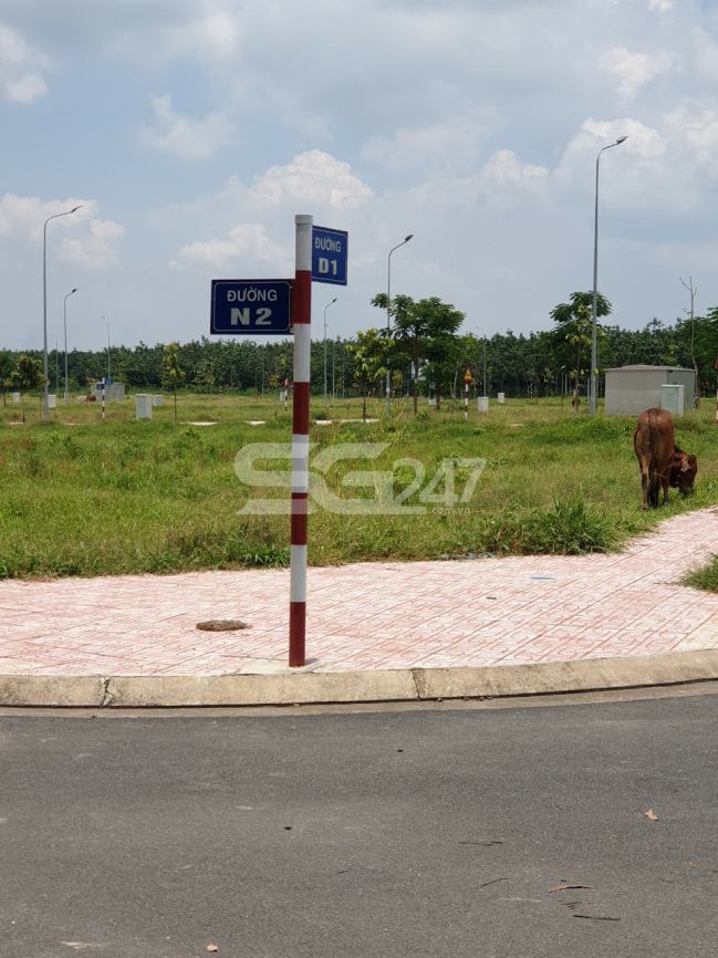 Một số hình ảnh thực tế từ dự án