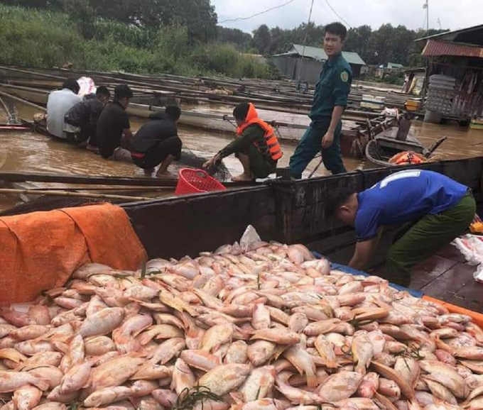 Hình ảnh người dân nuôi cá bè tại xã Thanh Sơn, huyện Định Quán với cá chết ngày 13/10/2021