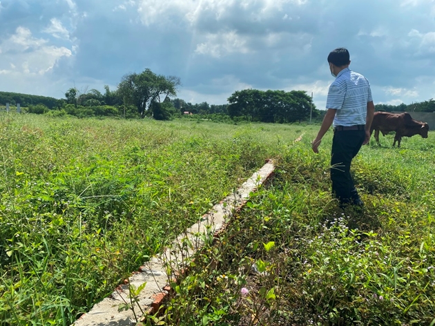Dùng gạch phân đất nông nghiệp thành các lô để bán. Ảnh: Công Nhật