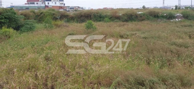 Khu đất hiện bỏ hoang (Khu đất được cho thuê để đầu tư dự án Khách sạn Hoa viên Haiyatt Việt Nam từ năm 2010)