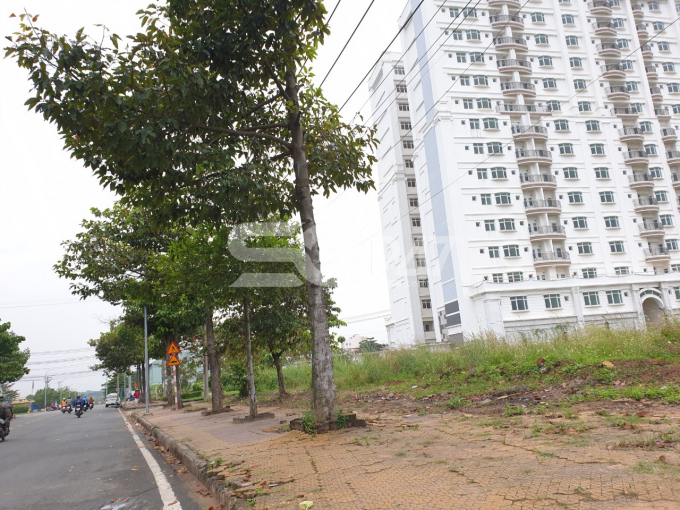 Mặt tiền khu đất đầu tư dự án Khách sạn Hoa viên Haiyatt Việt Nam (đường trong khu công nghiệp Loteco