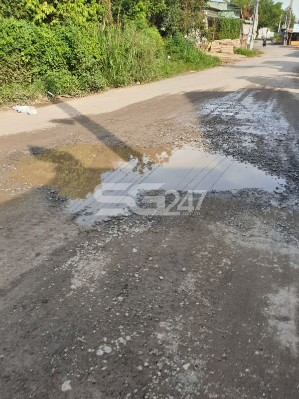 Cận cảnh