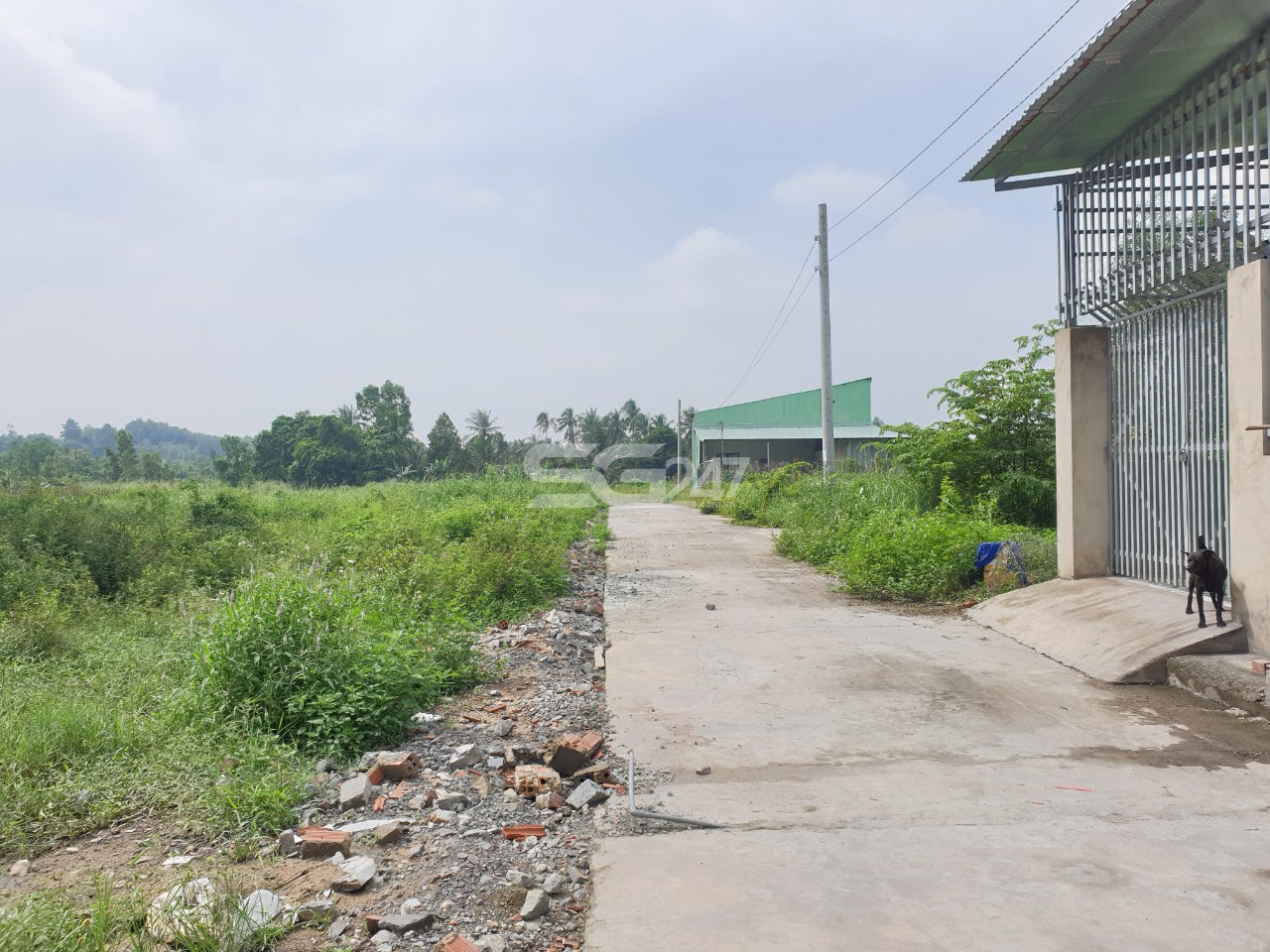 Tại thửa 283 hạ tầng gần như đã hoàn thiện