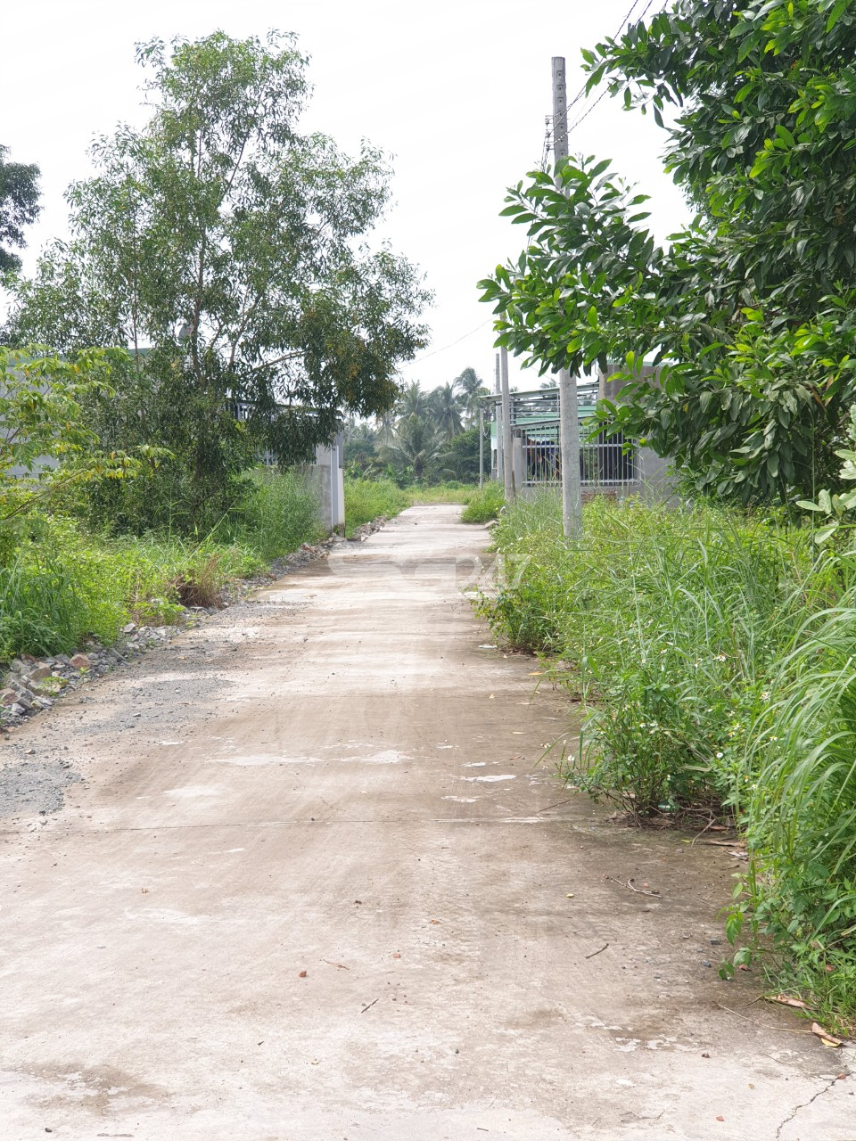 Tại thửa 283 hạ tầng gần như đã hoàn thiện