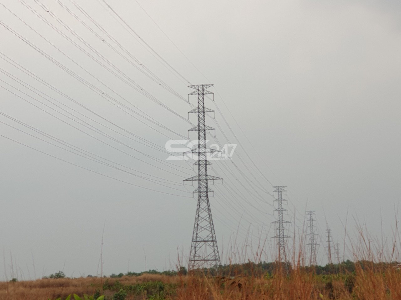 Hình ảnh thực tế khu đất ở tờ 39 thửa 2538 (trước đây gồm hai thửa 1426 và 2538) xã Sông Trầu, huyện Trảng Bom, tỉnh Đồng Nai. Khu đất mà công văn số 52 của ngân hàng BIDV nhắc đến, tài sản thẩm định giá có sự chênh lệch lớn trong việc thi hành án đối với vụ Văn Văn Nghĩa.