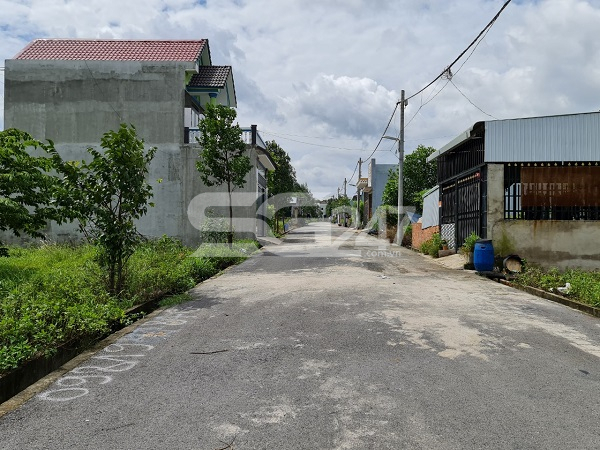Thực tế tại khu đất, chủ đầu tư đã làm tổng cộng 6 đoạn đường thảm nhựa (với 5 đoạn đường dọc,1 đoạn đường ngang) rộng khoảng 7m và trồng trụ đấu nối điện phục vụ sinh hoạt dọc theo các đoạn đường này.