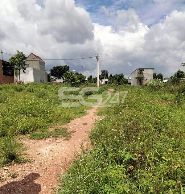 2 bên dòng chảy của nhánh suối Đỉa là để trục lợi vì đầu nậu cũng đã phân thành các lô nền béo bở