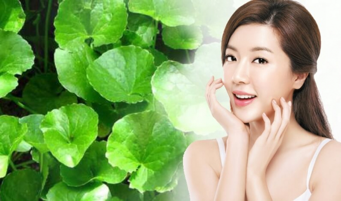 Rau má giúp tăng độ ẩm cho làn da