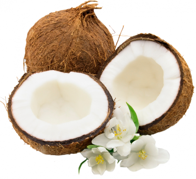 coconut_png9159
