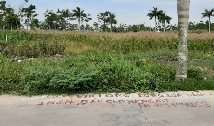 Hơn 15 năm qua, dự án khu dân cư Nam - Nam Sài gòn vẫn um tùm lau sậy.