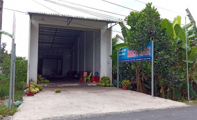 Nhiều vựa thu mua mít Thái vắng vẻ vì thị trường ngưng ăn, rớt giá. Ảnh: Hồ Thảo