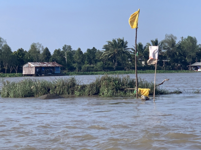 Khi nước sông Tiền dâng cao, cồn Nổi chìm trong dòng nước trở thành