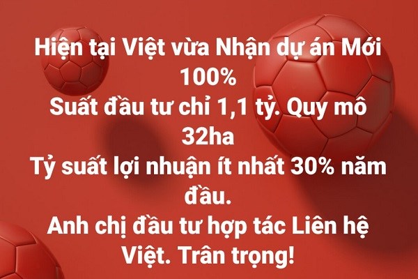 Những cam kết lợi nhuận cao đi kèm nhiều ưu đãi đang được các doanh nghiệp địa ốc chào mời khách hàng