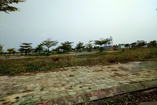 Hãy bỏ qua những