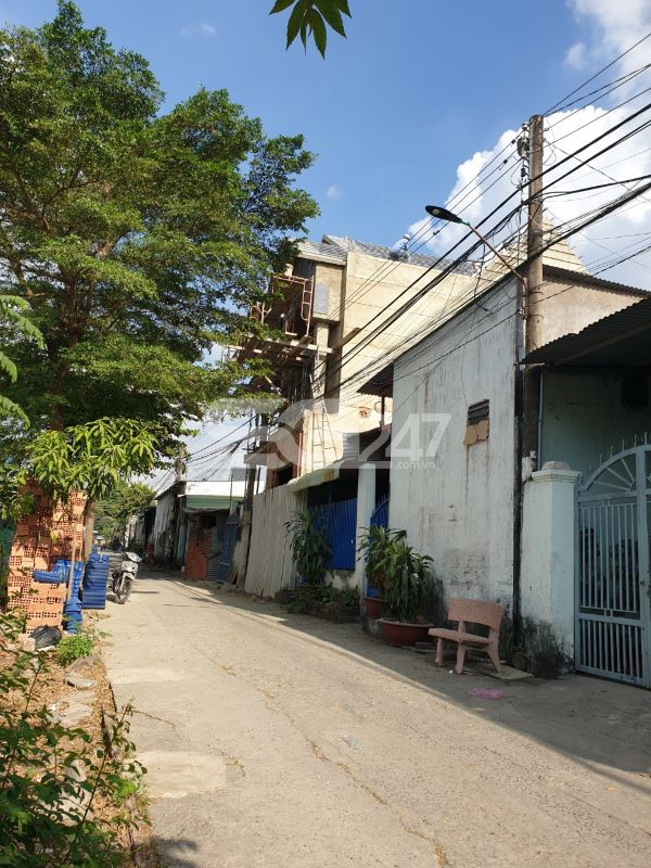Góc bên phải của căn nhà nằm trên tờ 49, thửa 127, diện tích 55m2, quy hoạch đất xây dựng cơ sở giáo dục và đào tạo.
