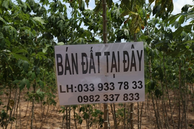 Sau khi phân đất nông nghiệp thành nhiều lô, chủ đầu tư đã cho treo biển để rao bán. Ảnh: Công Nhật