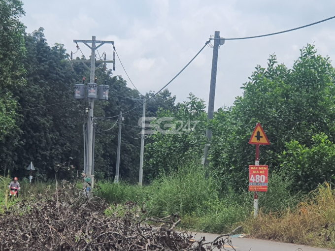 Hàng cột điện đã được đấu nối, hạ bình điện trên khu đất