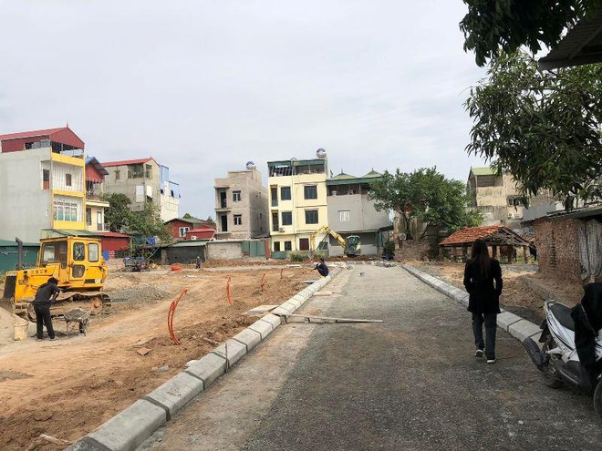 Bộ TN-MT đề nghị các địa phương chấn chỉnh tình trạng đấu giá quyền sử dụng đất, nhất là đất ở