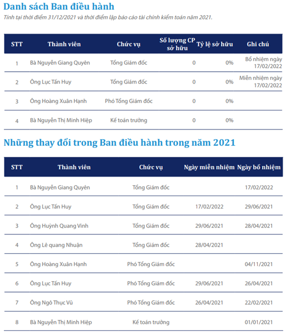 Báo cáo thường niên Louis Land