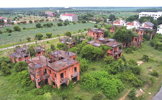 Cơn