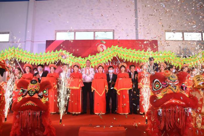 Công ty Sâm Việt Nam công bố đang sở hữu 10 ha sâm Ngọc Linh trước sự có mặt của nhiều lãnh đạo, khách mời