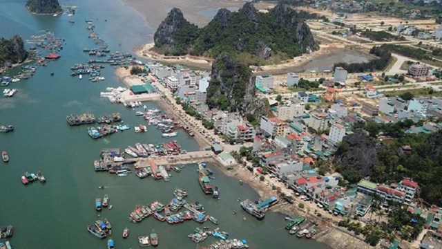 banve_anh1