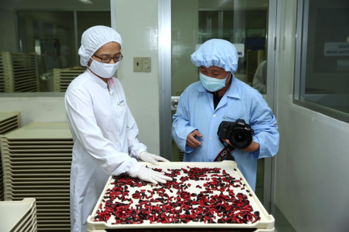 Tình trạng thiếu các thuốc thiết yếu trong danh mục thuốc thuộc phạm vi được hưởng của người tham gia bảo hiểm y tế, thuốc biệt dược, vật tư tiêu hao xảy ra ở nhiều bệnh viện. Ảnh: Nhã Chi