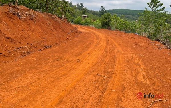 Con đường trái phép rộng khoảng 8m, dài khoảng 2km bỗng dưng xuất hiện lấp hơn 5000 m2 rừng bán ngập...
