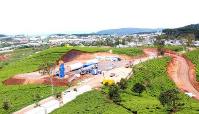 Dự án điện gió ở đồi chè cổ trăm năm tuổi ở TP Đà Lạt, tỉnh Lâm Đồng. Ảnh: ĐÌNH THI