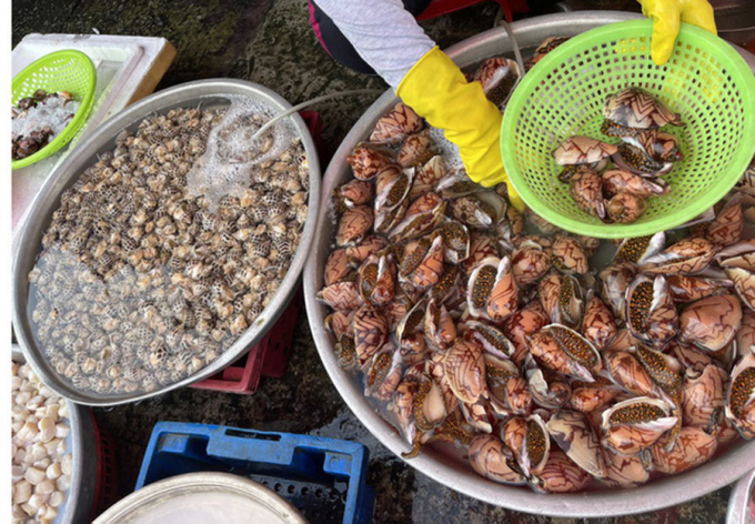 Ốc voi tại Phú Quốc giá còn 90.000 đồng/kg (Ảnh: Zing).