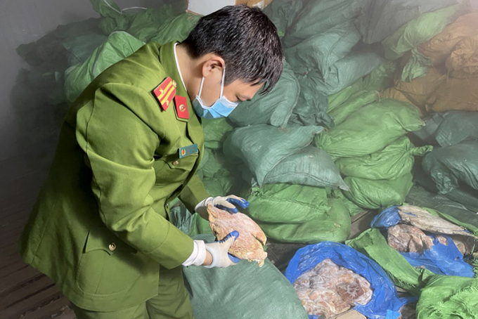 Lực lượng chức năng kiểm tra kho thực phẩm của bà B. phát hiện gần chục tấn chân gà, sụn gà và dạ dày động vật đông lạnh không rõ nguồn gốc.