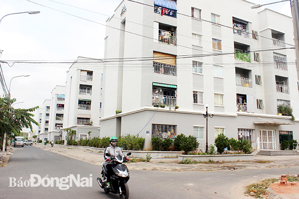 Dự án nhà ở cho người thu nhập thấp tại TP.Biên Hòa chưa chú ý đầu tư mảng xanh. Ảnh: UYỂN NHI
