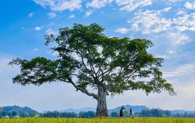 Với vẻ đẹp gần gũi với thiên nhiên, những năm gần đây Buôn Ma Thuột được giới trẻ yêu du lịch với cái tên