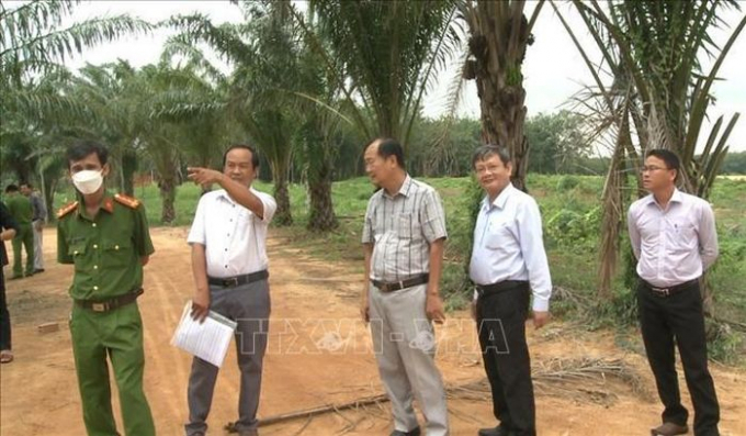 Đoàn kiểm tra tỉnh Bình Dương đang kiểm tra thực địa.